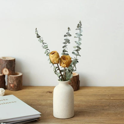 Conjunto 3 Vasos de Planta em Cerâmica