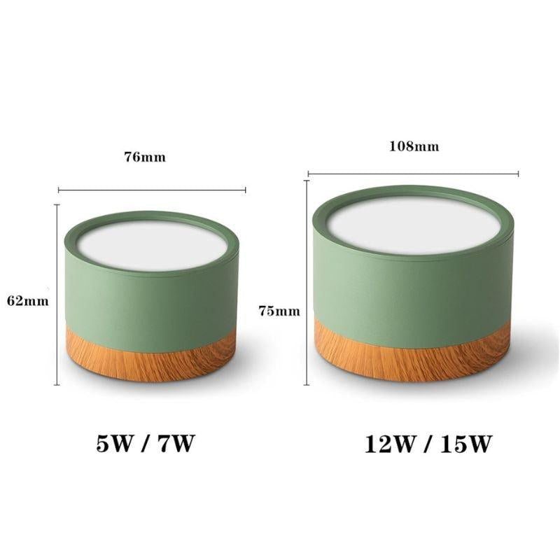 Nordic LED Surface‑Mounted Ceiling Light