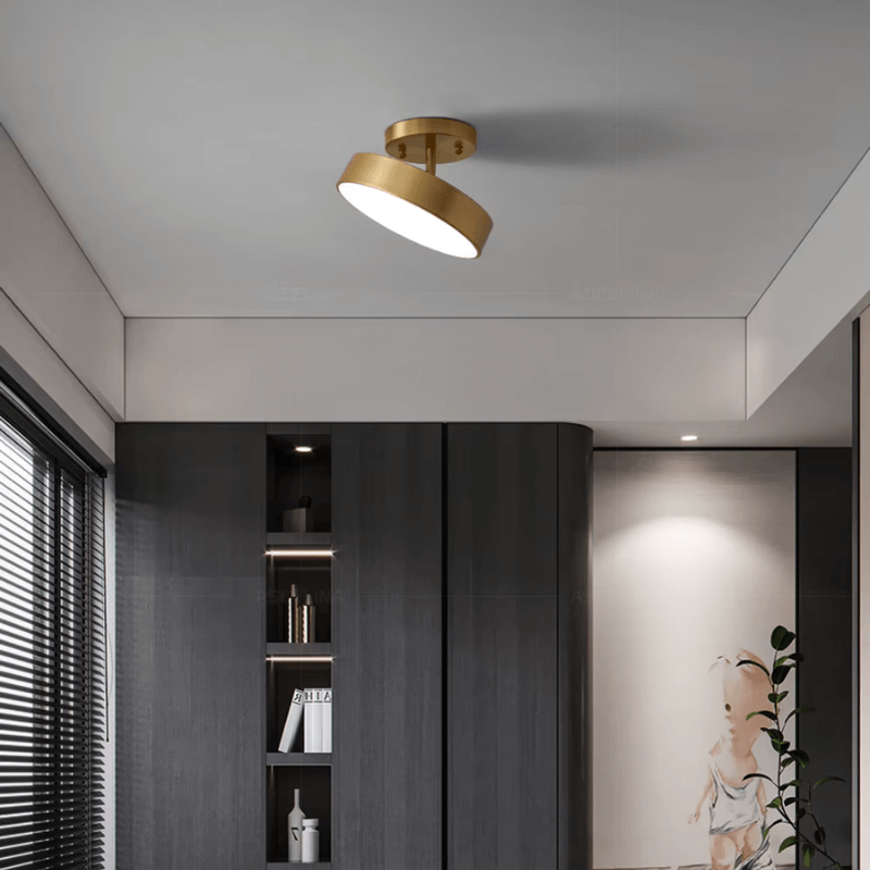 Round LED Ceiling Light with Directional Adjustment