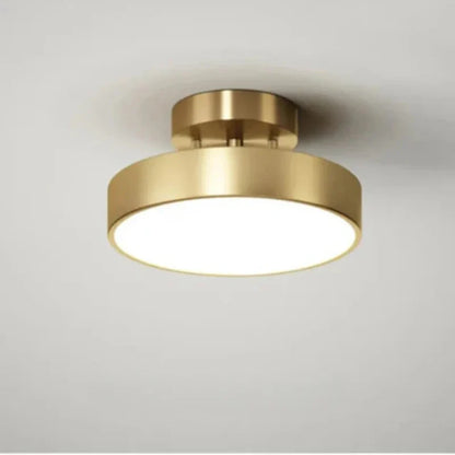 Round LED Ceiling Light with Directional Adjustment